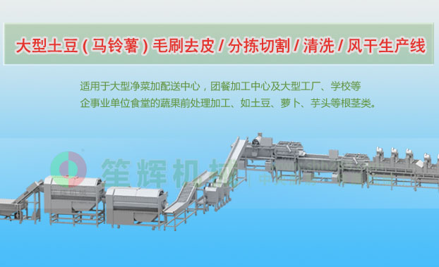 东昌府连续式土豆去皮清洗切割风干生产线